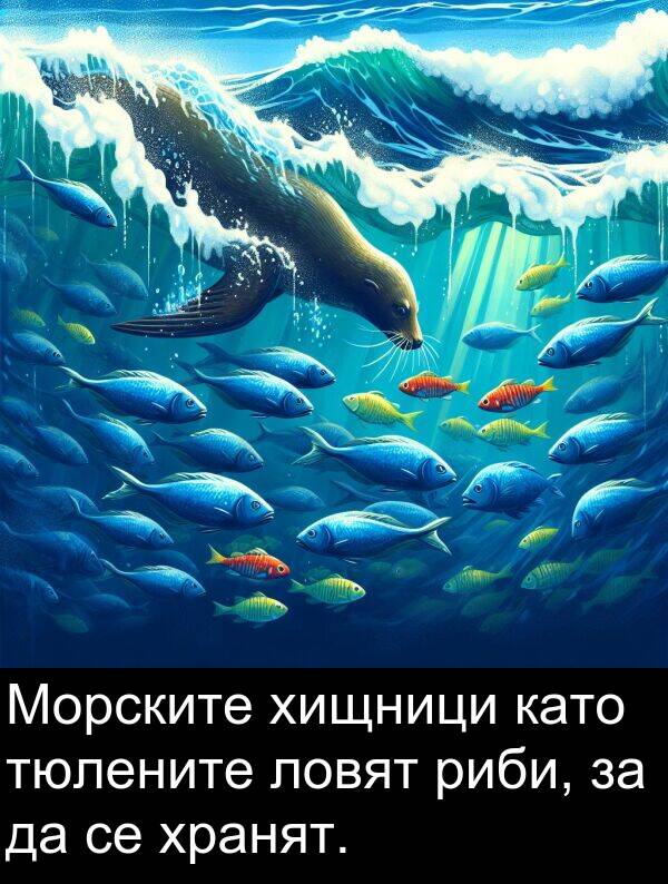 хищници: Морските хищници като тюлените ловят риби, за да се хранят.