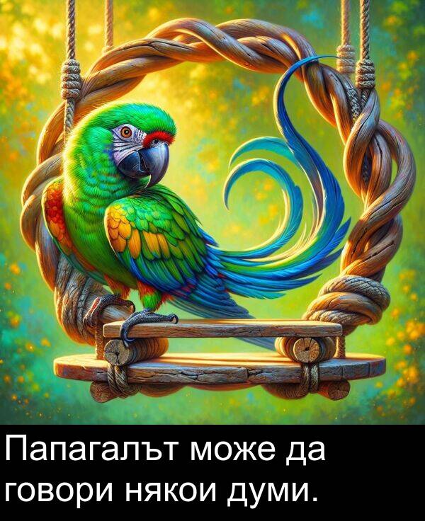 може: Папагалът може да говори някои думи.