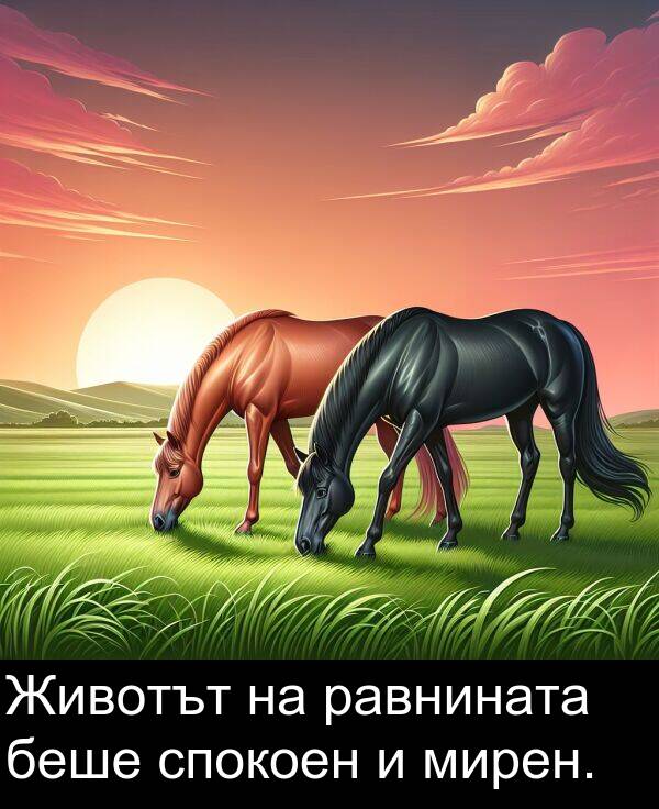 равнината: Животът на равнината беше спокоен и мирен.