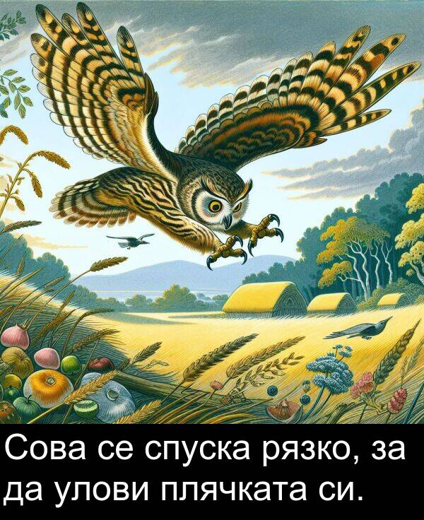 спуска: Сова се спуска рязко, за да улови плячката си.