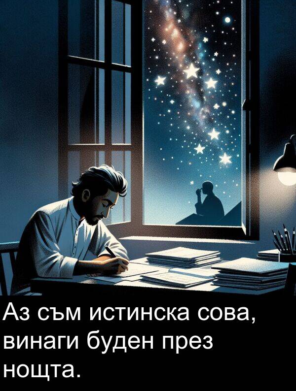 буден: Аз съм истинска сова, винаги буден през нощта.