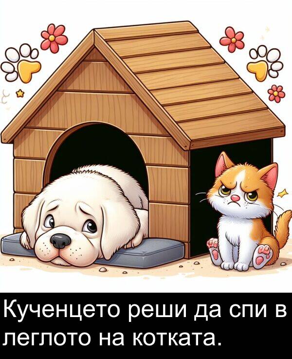 леглото: Кученцето реши да спи в леглото на котката.
