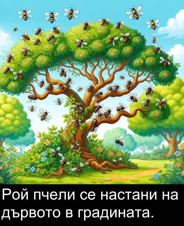 дървото: Рой пчели се настани на дървото в градината.