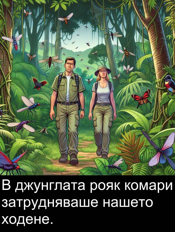 нашето: В джунглата рояк комари затрудняваше нашето ходене.