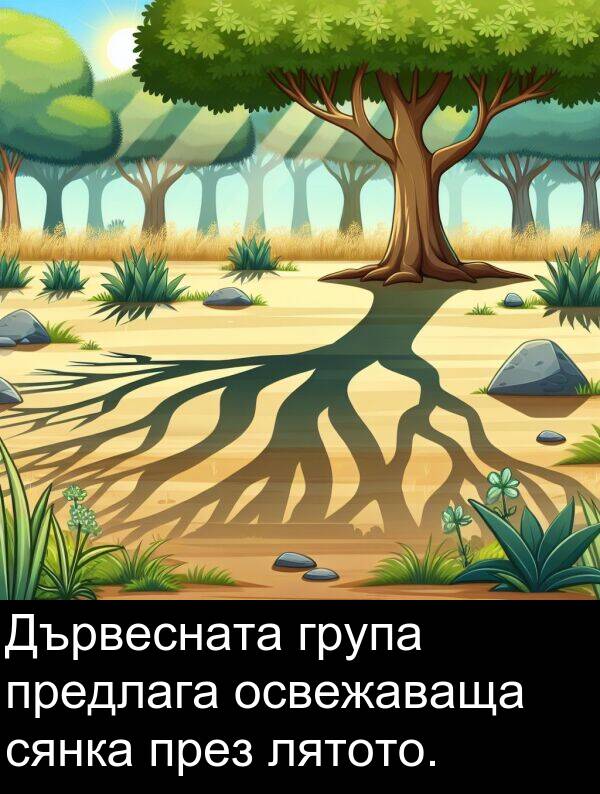 сянка: Дървесната група предлага освежаваща сянка през лятото.