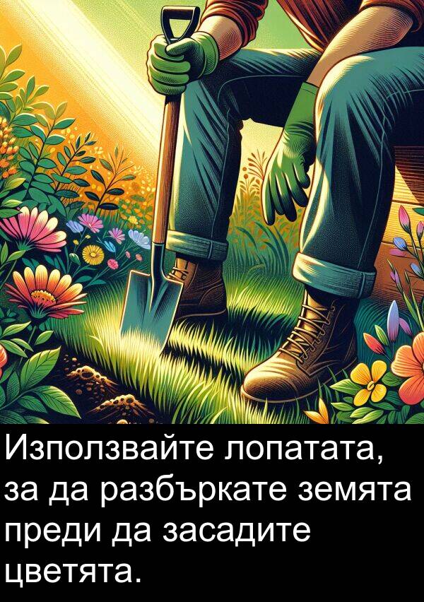 разбъркате: Използвайте лопатата, за да разбъркате земята преди да засадите цветята.
