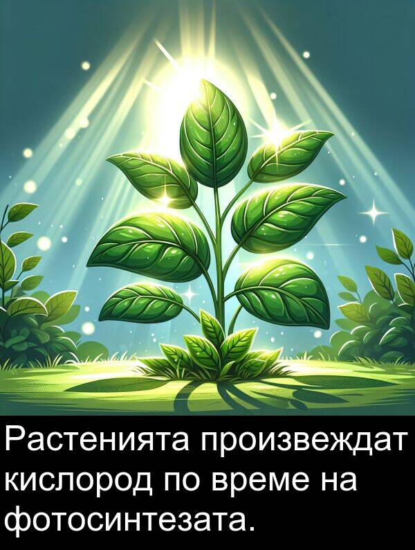 произвеждат: Растенията произвеждат кислород по време на фотосинтезата.