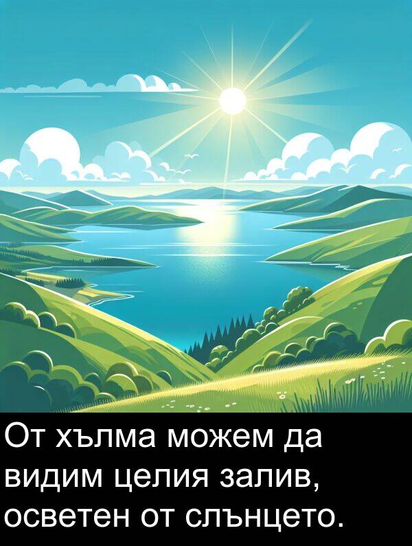 целия: От хълма можем да видим целия залив, осветен от слънцето.
