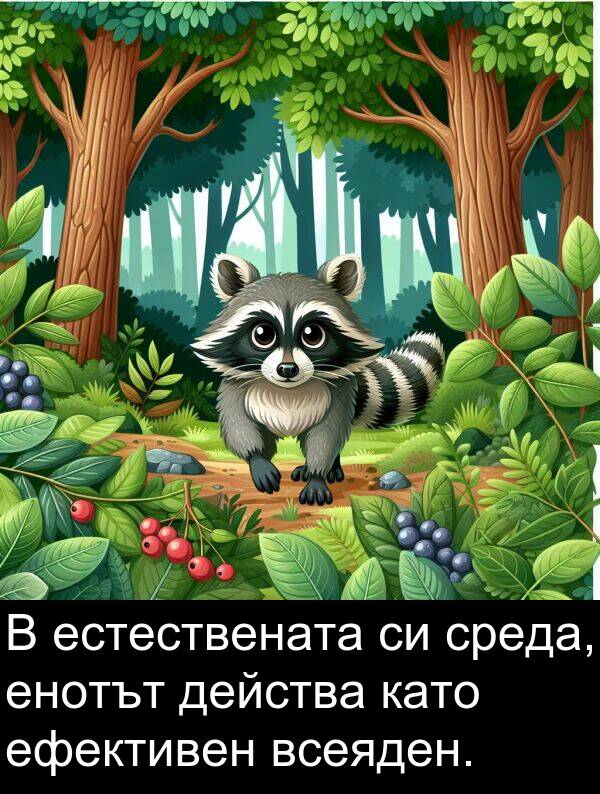 среда: В естествената си среда, енотът действа като ефективен всеяден.