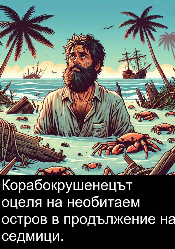 остров: Корабокрушенецът оцеля на необитаем остров в продължение на седмици.