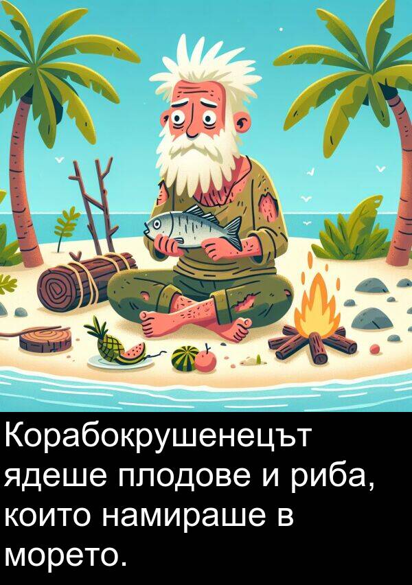 намираше: Корабокрушенецът ядеше плодове и риба, които намираше в морето.