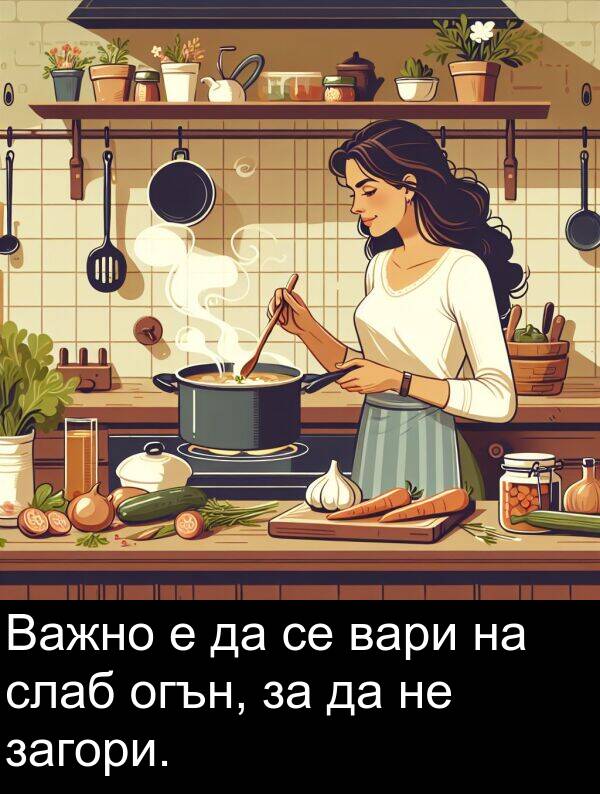 слаб: Важно е да се вари на слаб огън, за да не загори.