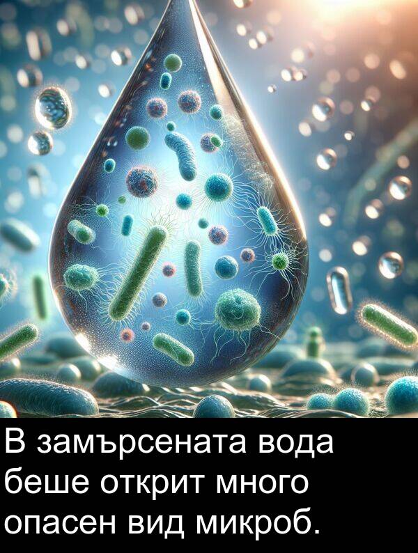опасен: В замърсената вода беше открит много опасен вид микроб.