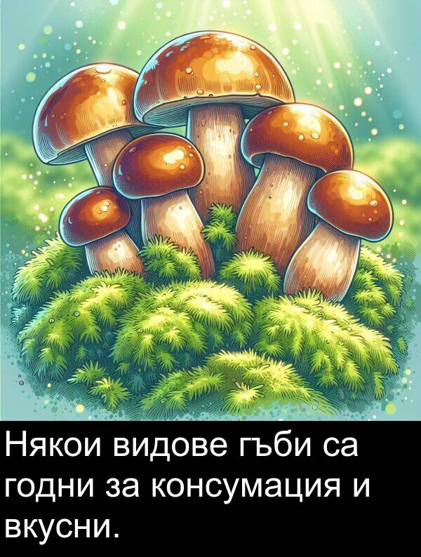 годни: Някои видове гъби са годни за консумация и вкусни.