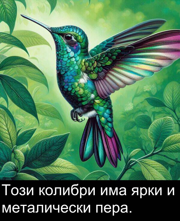 ярки: Този колибри има ярки и металически пера.