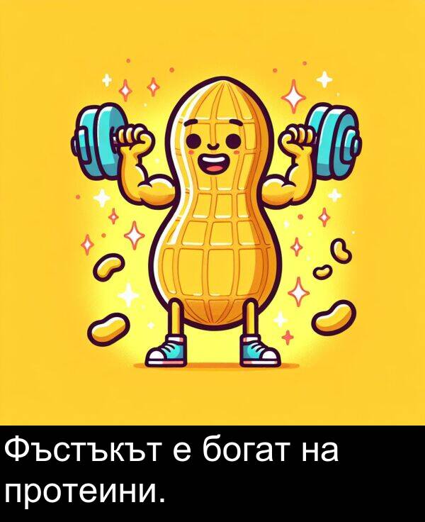 протеини: Фъстъкът е богат на протеини.