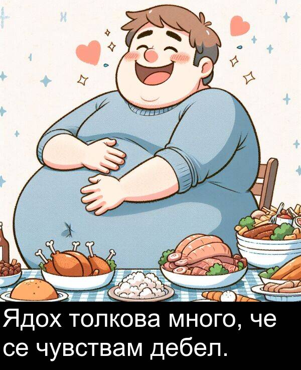 много: Ядох толкова много, че се чувствам дебел.