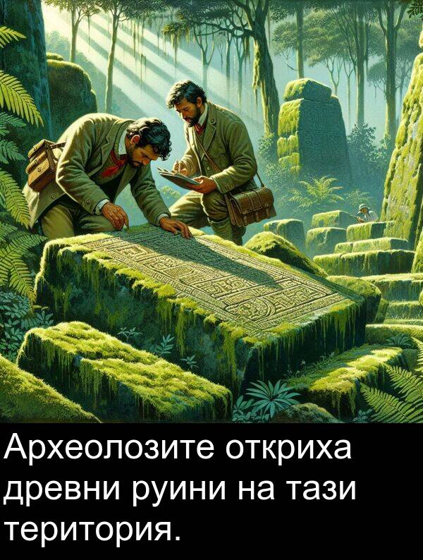 древни: Археолозите откриха древни руини на тази територия.