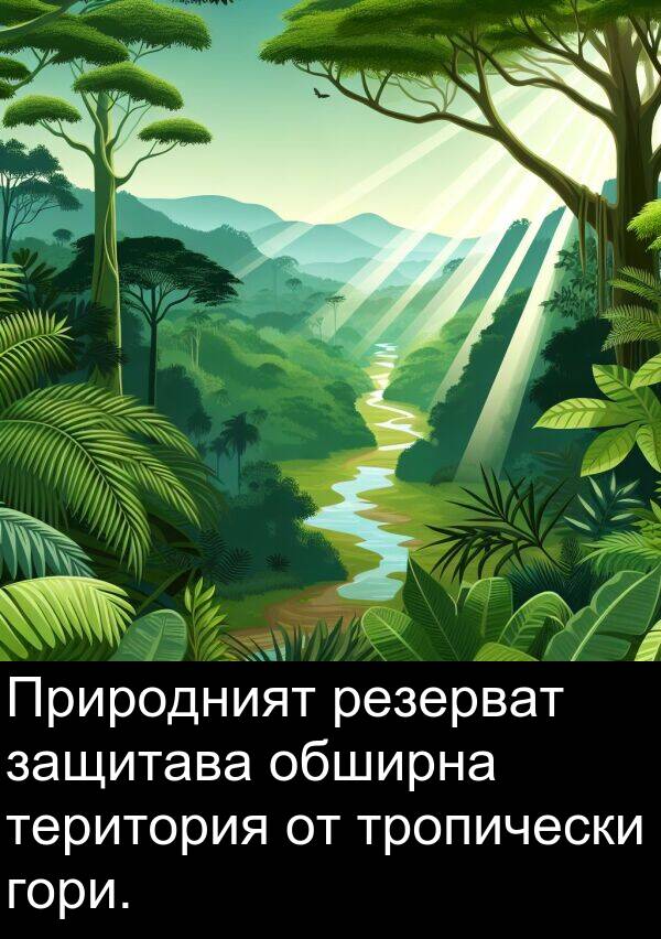 резерват: Природният резерват защитава обширна територия от тропически гори.