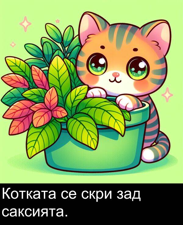 саксията: Котката се скри зад саксията.