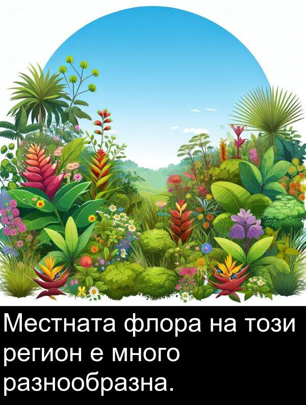 флора: Местната флора на този регион е много разнообразна.