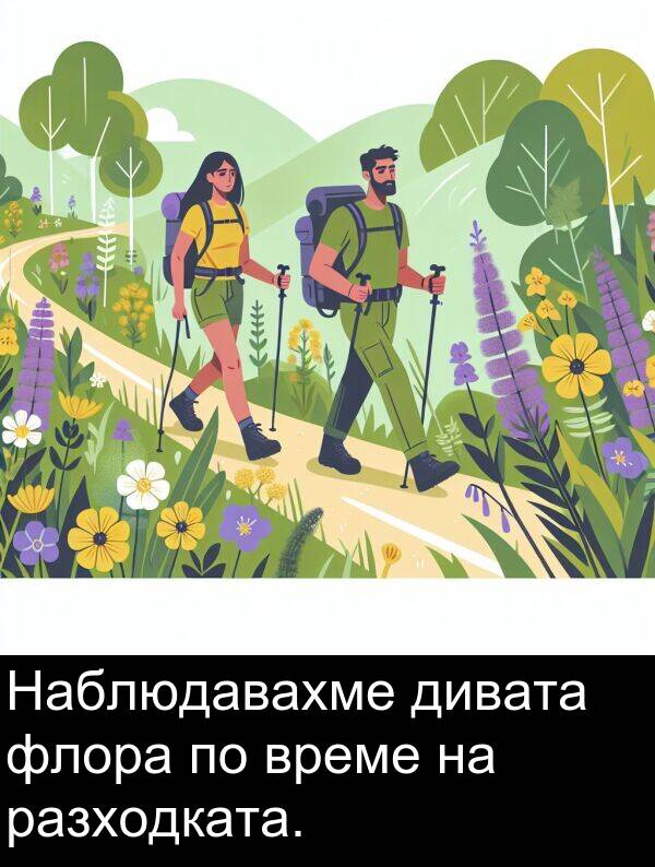 флора: Наблюдавахме дивата флора по време на разходката.