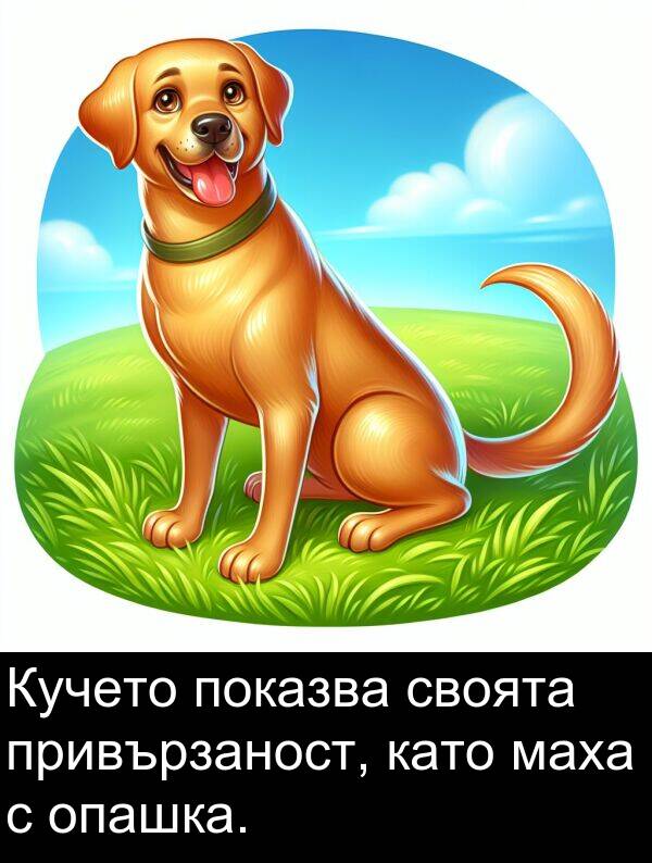 своята: Кучето показва своята привързаност, като маха с опашка.