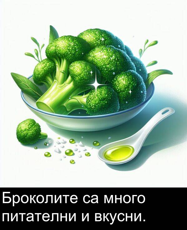 много: Броколите са много питателни и вкусни.