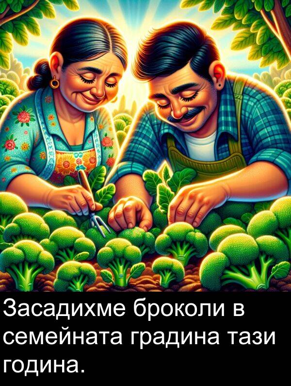 градина: Засадихме броколи в семейната градина тази година.