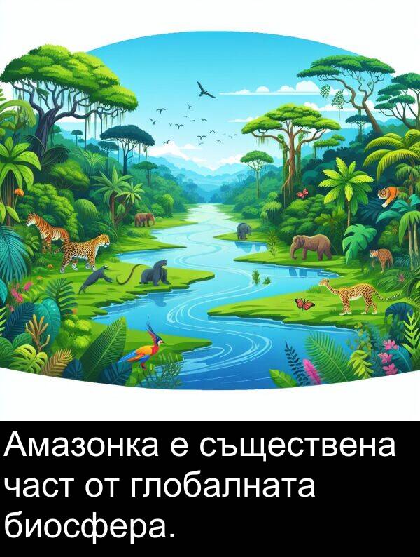 част: Амазонка е съществена част от глобалната биосфера.