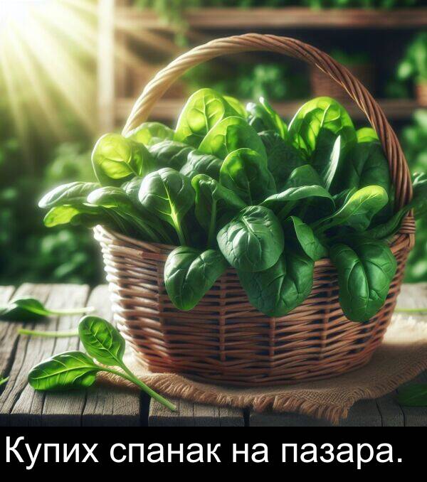пазара: Купих спанак на пазара.
