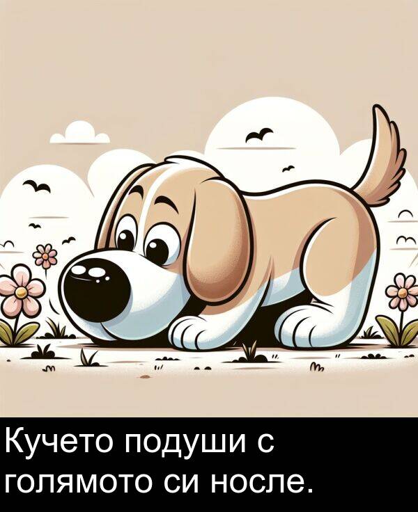 подуши: Кучето подуши с голямото си носле.