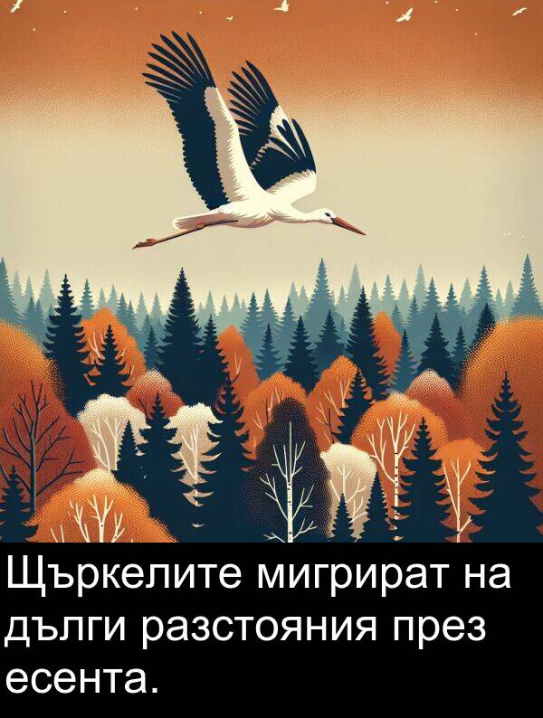 разстояния: Щъркелите мигрират на дълги разстояния през есента.