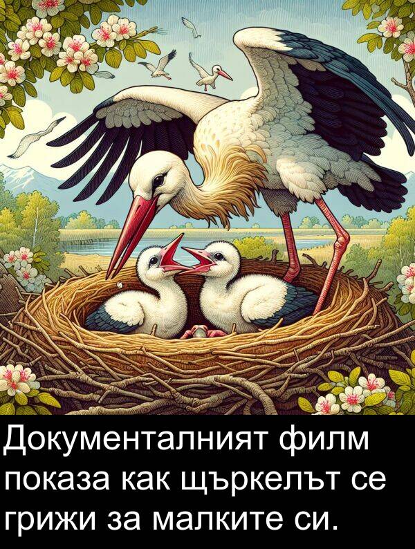 малките: Документалният филм показа как щъркелът се грижи за малките си.