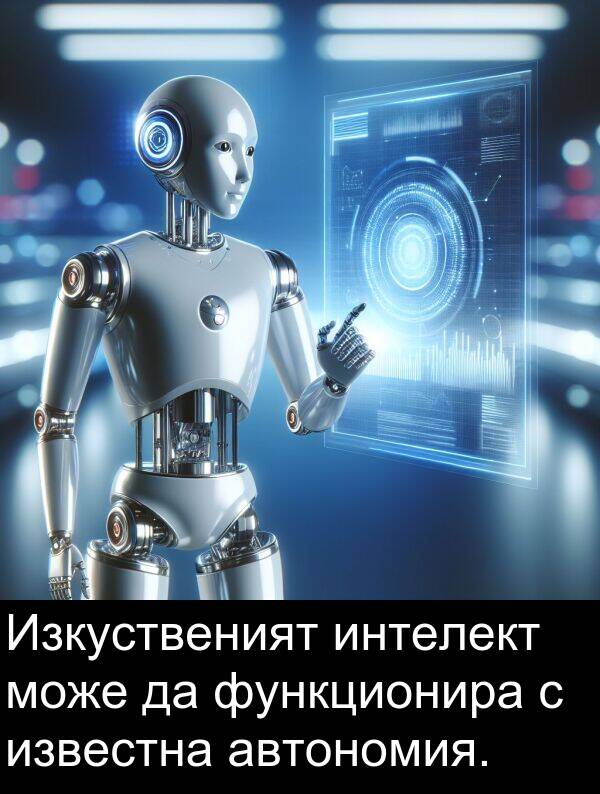 автономия: Изкуственият интелект може да функционира с известна автономия.