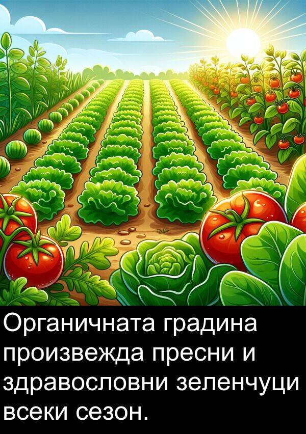 зеленчуци: Органичната градина произвежда пресни и здравословни зеленчуци всеки сезон.