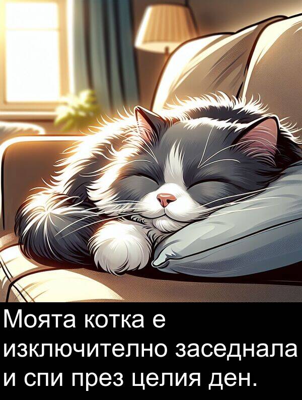 целия: Моята котка е изключително заседнала и спи през целия ден.