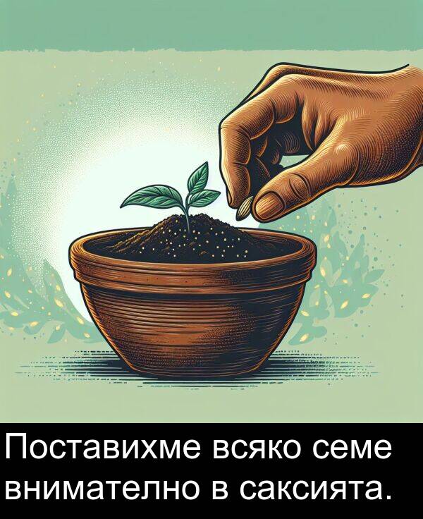 саксията: Поставихме всяко семе внимателно в саксията.