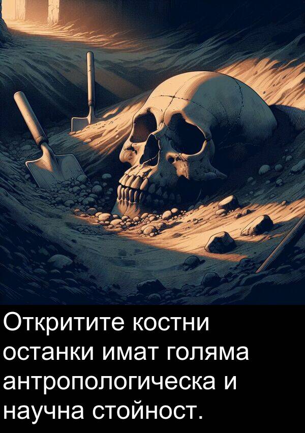 стойност: Откритите костни останки имат голяма антропологическа и научна стойност.