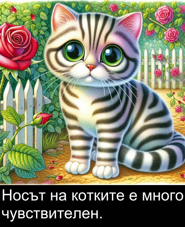 много: Носът на котките е много чувствителен.