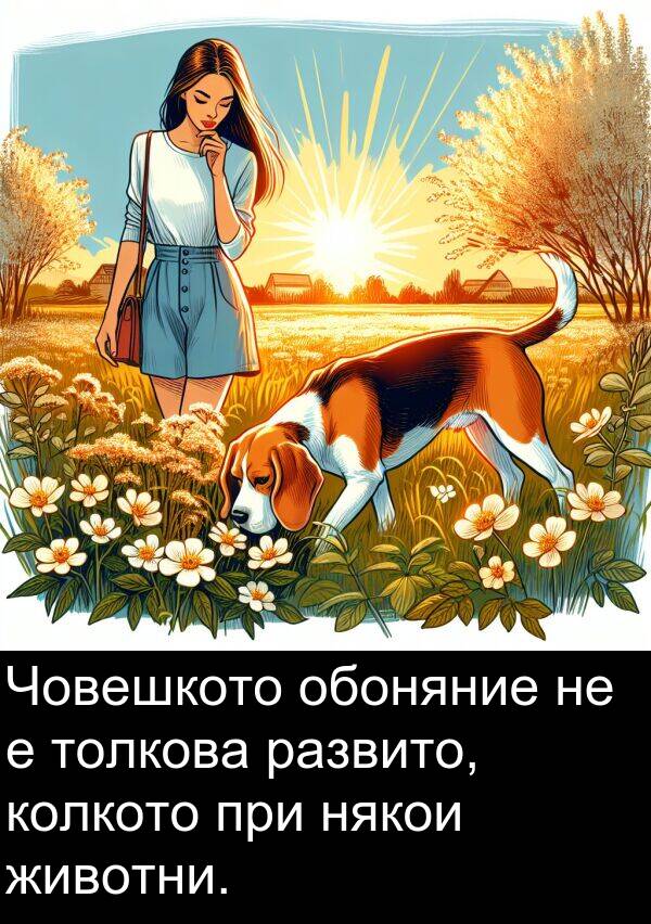 развито: Човешкото обоняние не е толкова развито, колкото при някои животни.