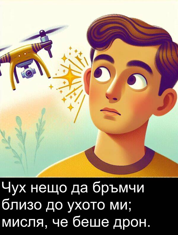 ми: Чух нещо да бръмчи близо до ухото ми; мисля, че беше дрон.
