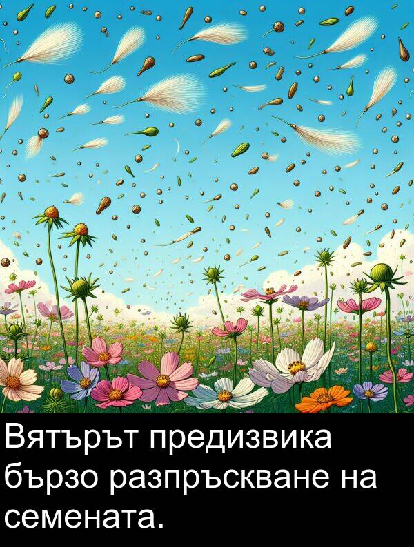 предизвика: Вятърът предизвика бързо разпръскване на семената.