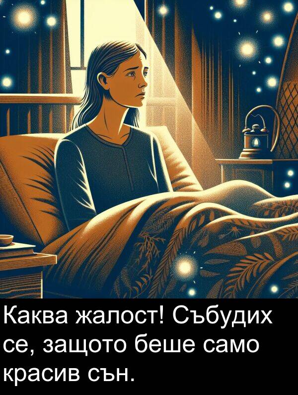 само: Каква жалост! Събудих се, защото беше само красив сън.
