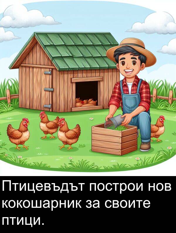 птици: Птицевъдът построи нов кокошарник за своите птици.