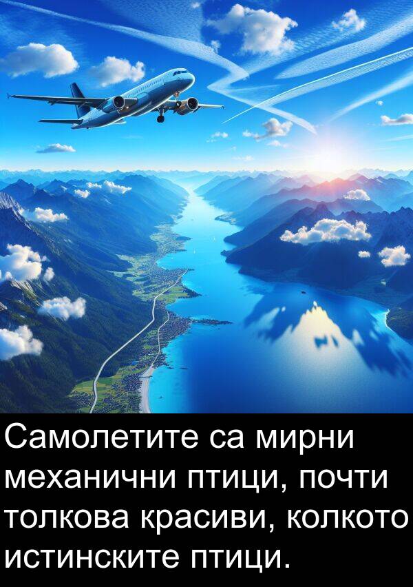 истинските: Самолетите са мирни механични птици, почти толкова красиви, колкото истинските птици.