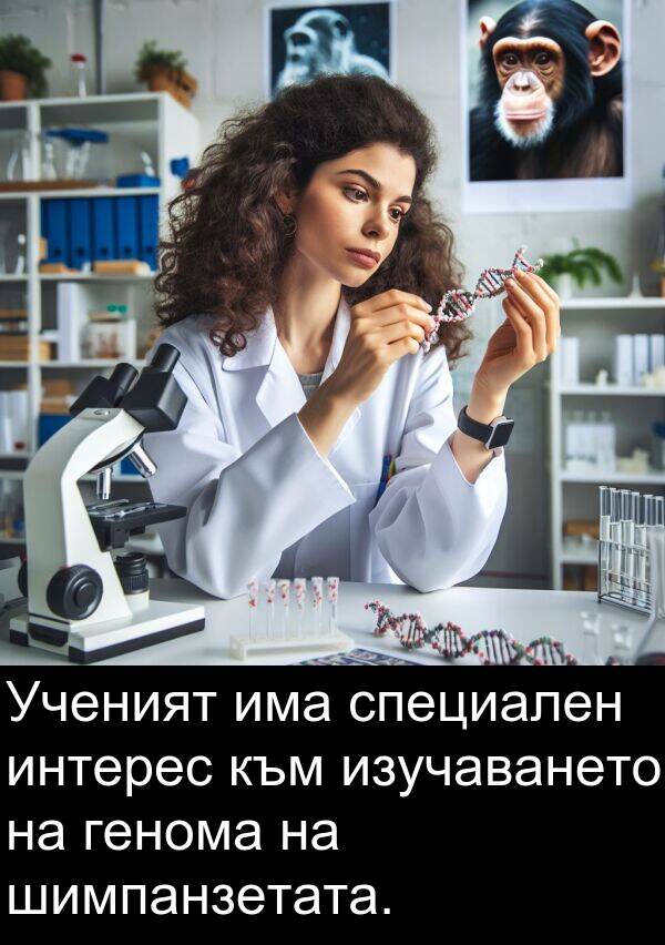 шимпанзетата: Ученият има специален интерес към изучаването на генома на шимпанзетата.