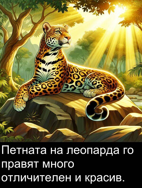отличителен: Петната на леопарда го правят много отличителен и красив.