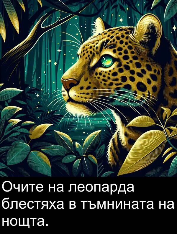 блестяха: Очите на леопарда блестяха в тъмнината на нощта.
