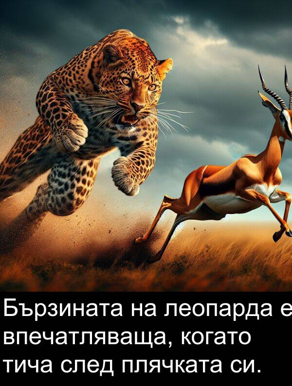 леопарда: Бързината на леопарда е впечатляваща, когато тича след плячката си.